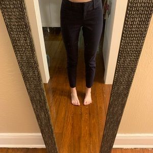 The limited navy pants